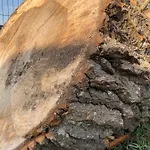 W Brzozach Sznurki Spokojna 1 - Chmielno, Kaszuby, Dom, Jezioro *