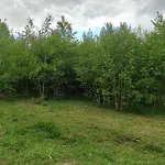 בית נופש W Brzozach Sznurki Spokojna 1 - Chmielno, Kaszuby, Dom, Jezioro