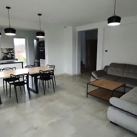 W Brzozach Sznurki Spokojna 1 - Chmielno, Kaszuby, Dom, Jezioro Ferienhaus