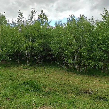 Tatil Evi W Brzozach Sznurki Spokojna 1 - Chmielno, Kaszuby, Dom, Jezioro