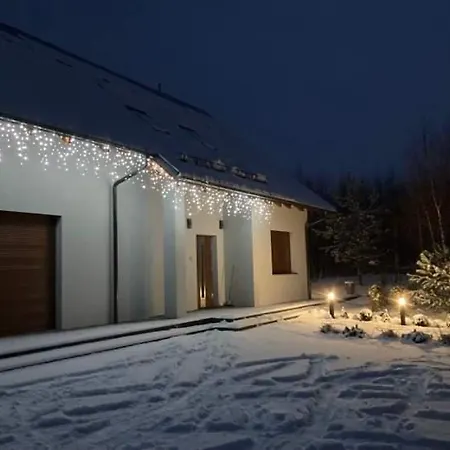 W Brzozach Sznurki Spokojna 1 - Chmielno, Kaszuby, Dom, Jezioro *