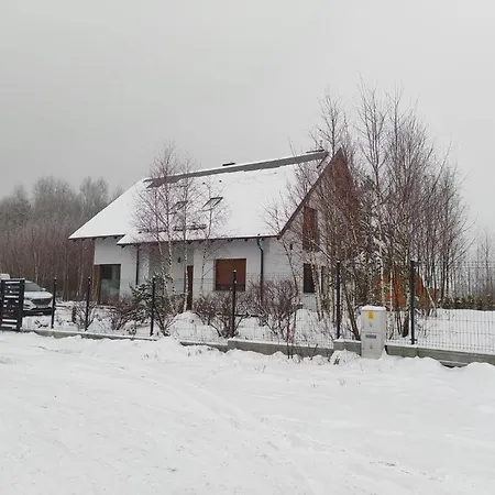 W Brzozach Sznurki Spokojna 1 - Chmielno, Kaszuby, Dom, Jezioro Chmielno