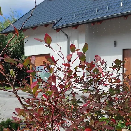 別荘 W Brzozach Sznurki Spokojna 1 - Chmielno, Kaszuby, Dom, Jezioro