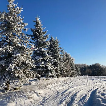 別荘 W Brzozach Sznurki Spokojna 1 - Chmielno, Kaszuby, Dom, Jezioro