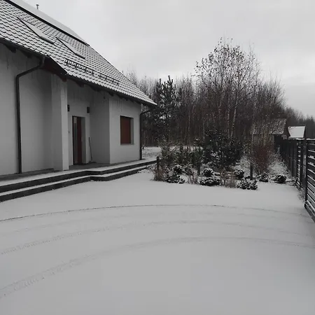 W Brzozach Sznurki Spokojna 1 - Chmielno, Kaszuby, Dom, Jezioro