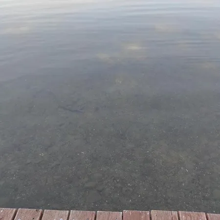 W Brzozach Sznurki Spokojna 1 - Chmielno, Kaszuby, Dom, Jezioro
