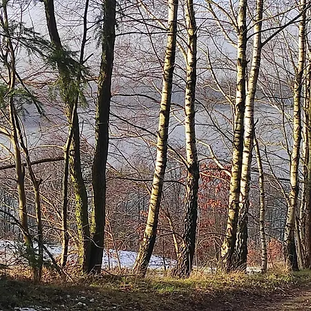 W Brzozach Sznurki Spokojna 1 - Chmielno, Kaszuby, Dom, Jezioro *
