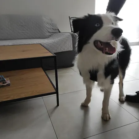 W Brzozach Sznurki Spokojna 1 - Chmielno, Kaszuby, Dom, Jezioro بيت للعطل *