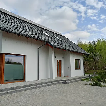 W Brzozach Sznurki Spokojna 1 - Chmielno, Kaszuby, Dom, Jezioro