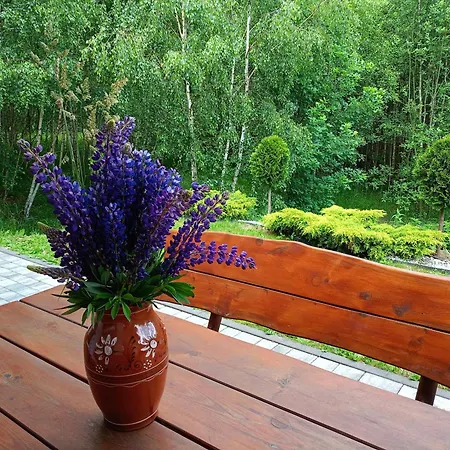Holiday home W Brzozach Sznurki Spokojna 1 - Chmielno, Kaszuby, Dom, Jezioro Chmielno