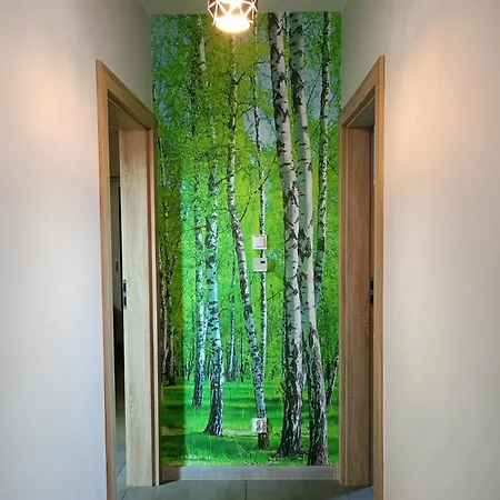 W Brzozach Sznurki Spokojna 1 - Chmielno, Kaszuby, Dom, Jezioro