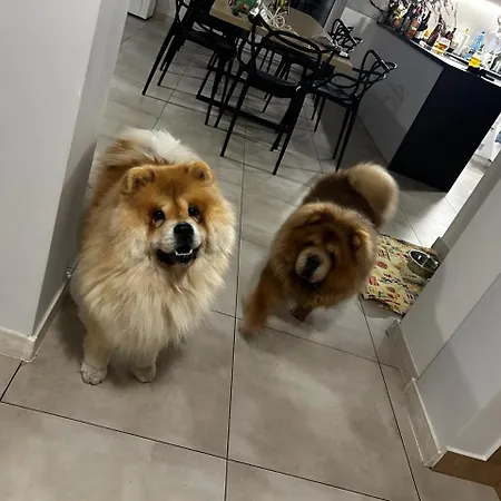 W Brzozach Sznurki Spokojna 1 - Chmielno, Kaszuby, Dom, Jezioro Tatil Evi Chmielno