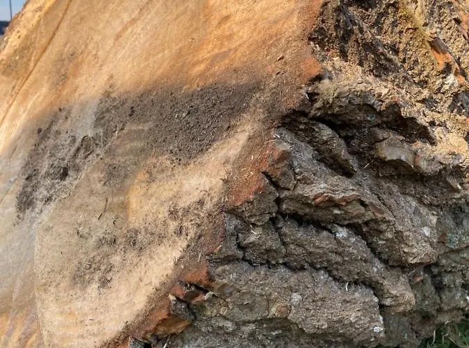 W Brzozach Sznurki Spokojna 1 - Chmielno, Kaszuby, Dom, Jezioro *