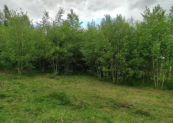 Semesterbostad W Brzozach Sznurki Spokojna 1 - Chmielno, Kaszuby, Dom, Jezioro