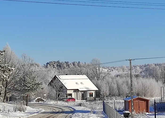 W Brzozach Sznurki Spokojna 1 - Chmielno, Kaszuby, Dom, Jezioro *