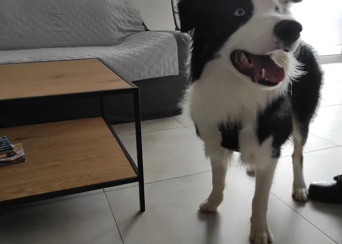 W Brzozach Sznurki Spokojna 1 - Chmielno, Kaszuby, Dom, Jezioro Ferienhaus *