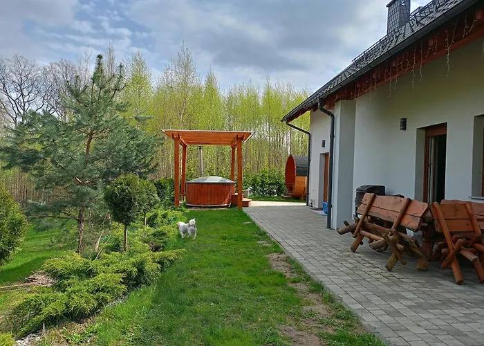 W Brzozach Sznurki Spokojna 1 - Chmielno, Kaszuby, Dom, Jezioro