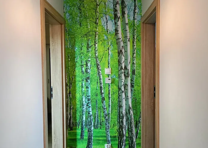 W Brzozach Sznurki Spokojna 1 - Chmielno, Kaszuby, Dom, Jezioro