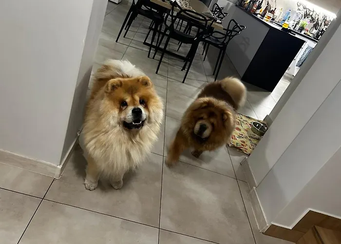 W Brzozach Sznurki Spokojna 1 - Chmielno, Kaszuby, Dom, Jezioro Semesterbostad Chmielno