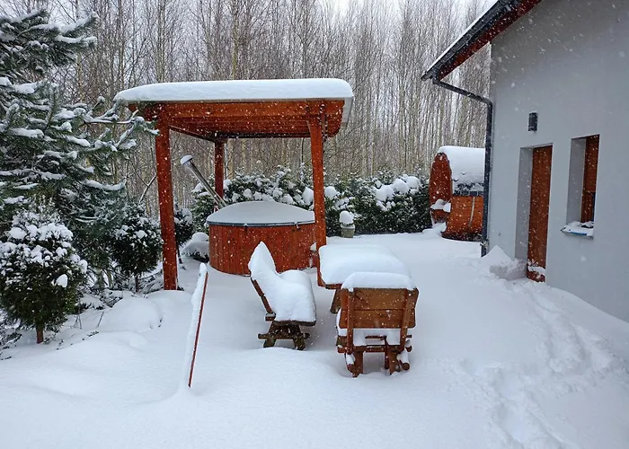 W Brzozach Sznurki Spokojna 1 - Chmielno, Kaszuby, Dom, Jezioro *
